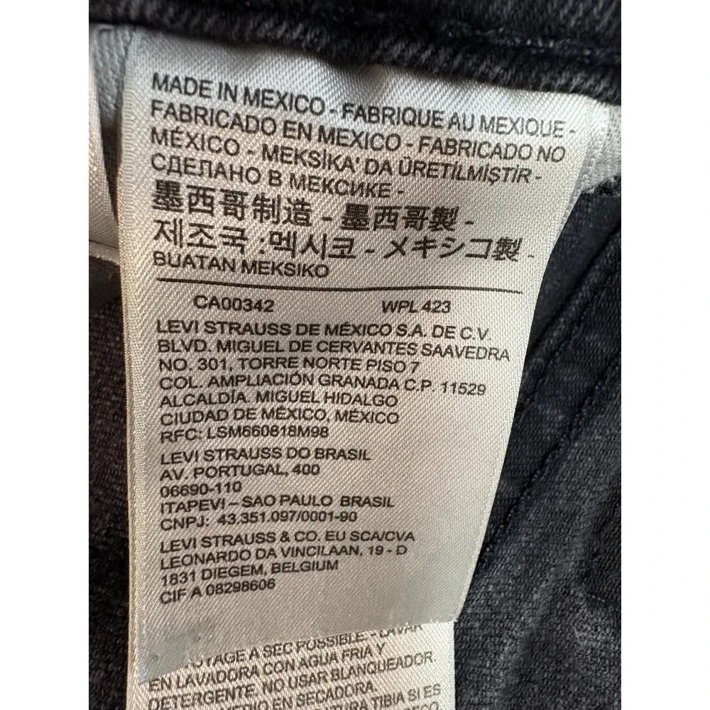 Levis levis 531